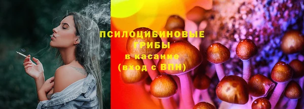 соль курить ск Арсеньев