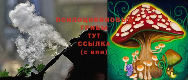 СК Аркадак